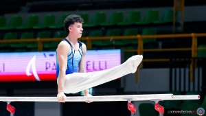 serie b 0632 simone ferraro ph